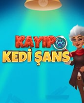 Kayıp Kedi Şans